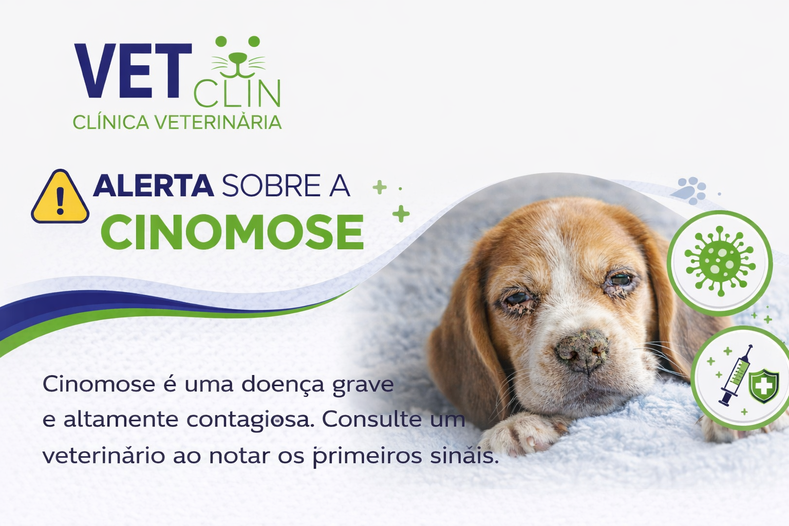 Cinomose em cães: sintomas, riscos e como proteger seu pet